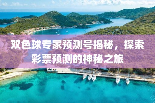 双色球专家预测号揭秘，探索彩票预测的神秘之旅