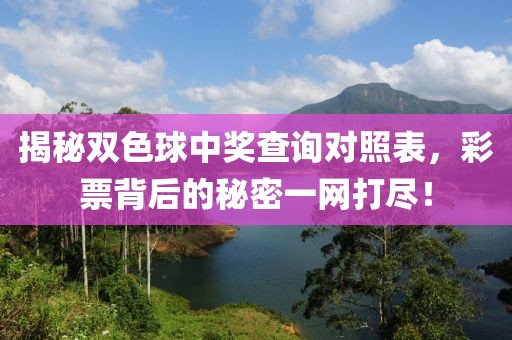 揭秘双色球中奖查询对照表，彩票背后的秘密一网打尽！